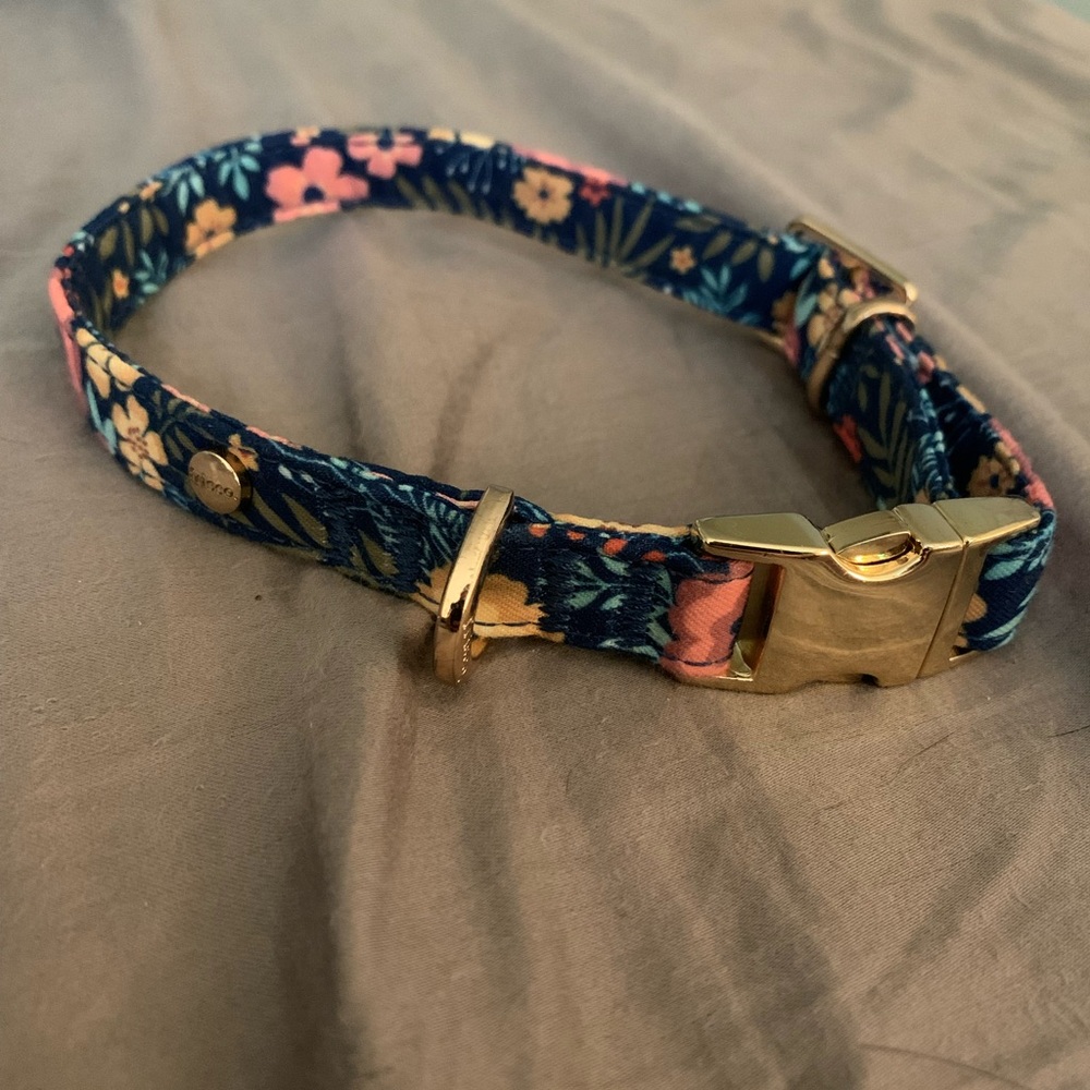 Small Frisco Floral Dog Collar